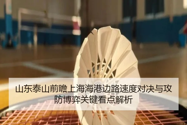 山东泰山前瞻上海海港边路速度对决与攻防博弈关键看点解析