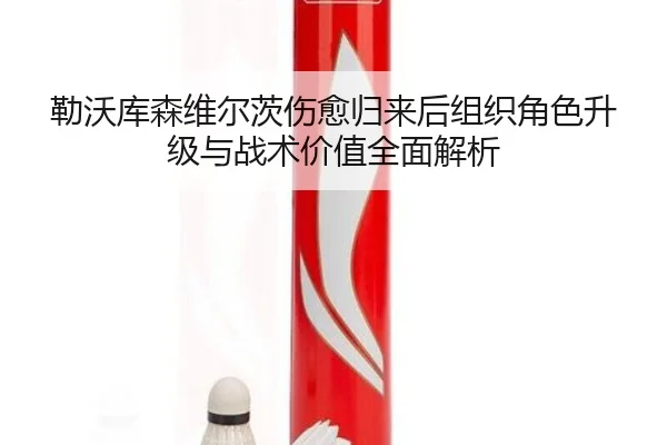 勒沃库森维尔茨伤愈归来后组织角色升级与战术价值全面解析